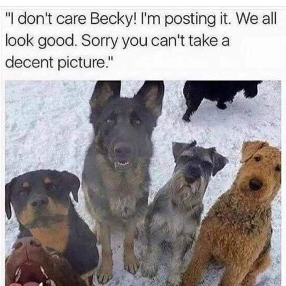 CLOSING TO TRAVEL! - Picture 4 of 9